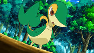 Snivy — Orman manzarası Duvar Kağıdı