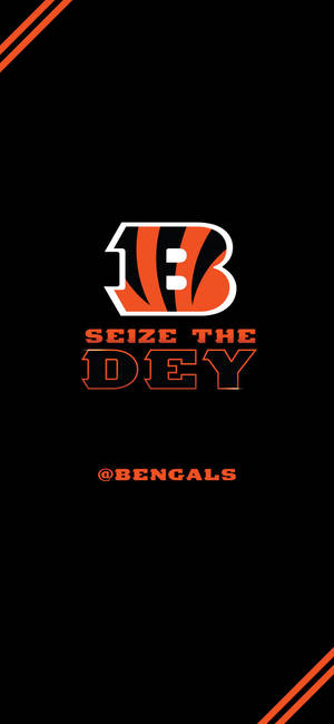 Cincinnati Bengals seize the dey duvar kağıdı — iPhone 14 Pro Max Duvar Kağıdı