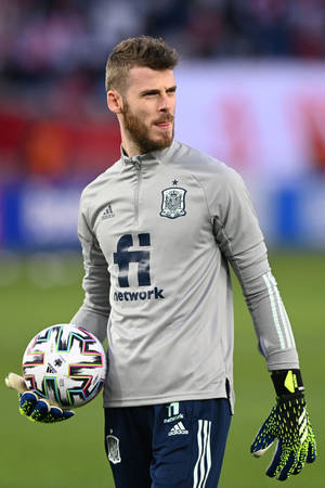 David De Gea gri İspanyol forması — Futbol Duvar Kağıdı