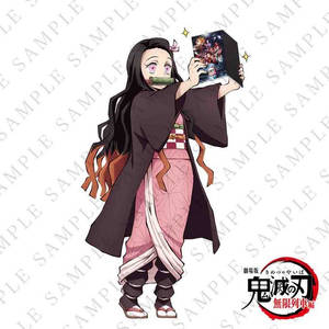 Demon Slayer Nezuko Kitap