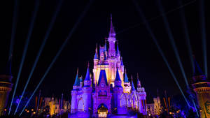 Disneyworld Gece