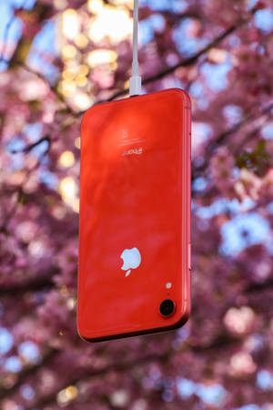 Doğa Kırmızı iPhone — Doğa iPhone Duvar Kağıdı