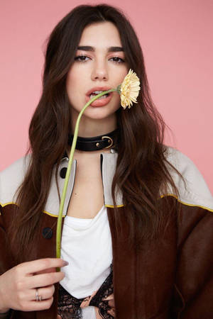 Dua Lipa 4K Glamcult İçin — Çiçek estetiği Duvar Kağıdı