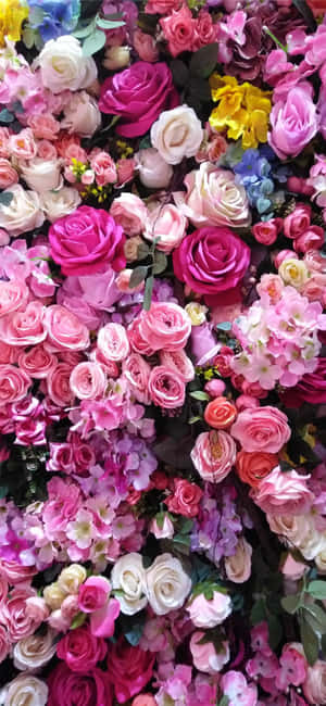 Roses Background — Huawei Mate 80 Duvar Kağıdı