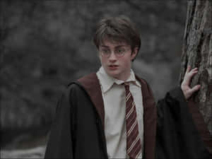 Estetik Harry Potter görselleri — Estetik harry potter Duvar Kağıdı