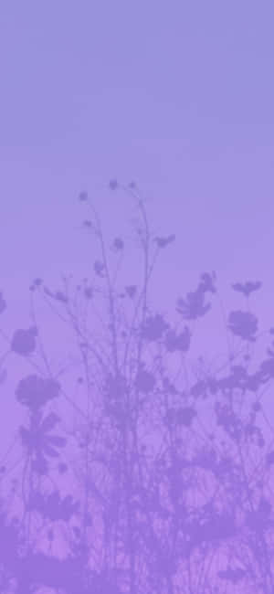 Aesthetic Purple Pictures — Açık mor estetik Duvar Kağıdı