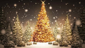 Noel Ağacı Arka Planı — Noel Ağacı Duvar Kağıdı