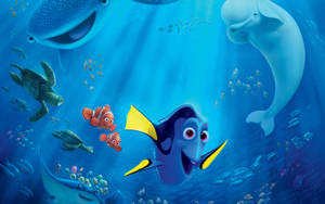 Finding Dory ve Nemo Disney 4K Ultra Geniş — Estetik çizgi film Duvar Kağıdı