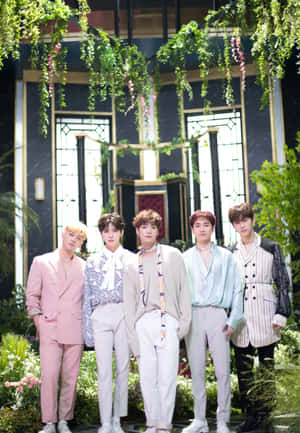 nuest — Kpop GIF Duvar Kağıdı