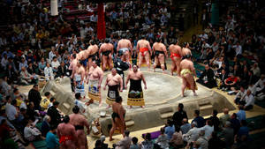 Japon Sumo güreşi arenası duvar kağıdı — Pro Display XDR Duvar Kağıdı