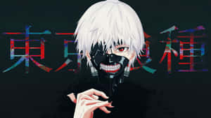 Tokyo Ghoul resimleri — Tokyo ghoul GIF Duvar Kağıdı