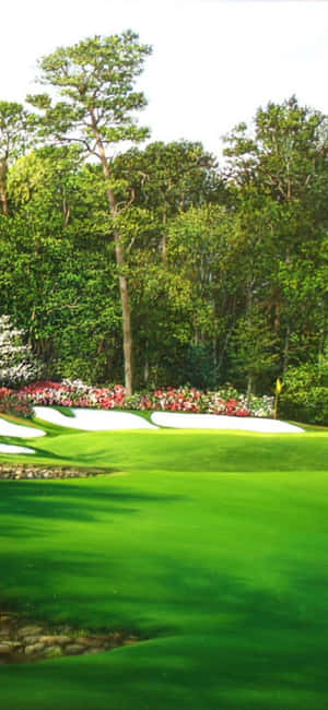 Iphone X Golf Sahası Arka Planı — Realme C73 Duvar Kağıdı