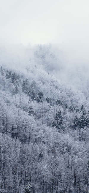 Snow Iphone — iPhone 18 Pro Max Duvar Kağıdı