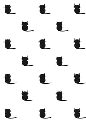 Siyah Kedi resimleri — Kara Kedi Duvar Kağıdı