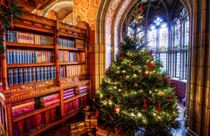 Güzel Kütüphane Noel Manzarası — Güzel Noel Duvar Kağıdı