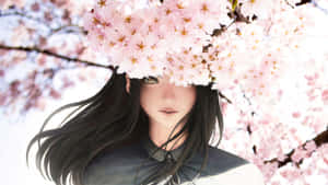Sakura Anime [duvar kağıdı] — Kiraz çiçeği Duvar Kağıdı