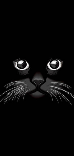 Havalı Siyah Kedi — iPhone 16 Plus Duvar Kağıdı