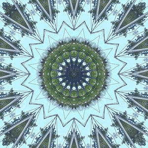 Estetik Trippy