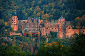 Heidelberg Kalesi ve Sonbahar Ağaçları