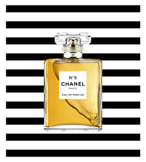 Chanel resimleri — Galaxy Z Flip 8 Duvar Kağıdı