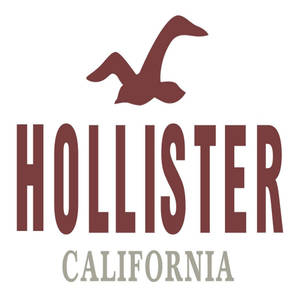 Hollister klasik logosu duvar kağıdı — Huawei nova Flip S Duvar Kağıdı