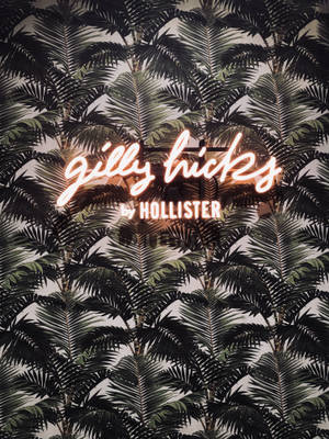 Hollister palmiye yaprakları duvar kağıdı — 3:4 Duvar Kağıdı