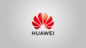 Huawei Çin marka sanatı duvar kağıdı — Huawei Duvar Kağıdı