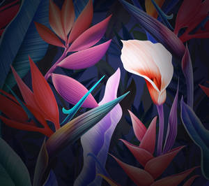 Huawei Mate 10 Pro çiçekli duvar kağıdı — Huawei Duvar Kağıdı