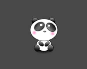 Panda Arka Planı — Panda Duvar Kağıdı