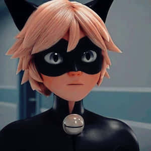 Cat Noir resimleri