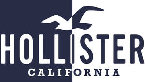 İki Tonlu Hollister Logosu duvar kağıdı — 1280x720 Duvar Kağıdı
