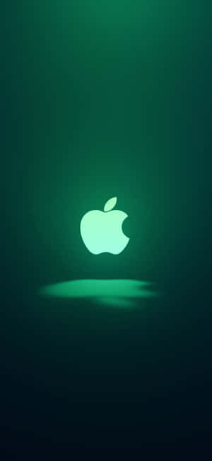 iPhone 11 Yeşil — Pixel 8 Duvar Kağıdı