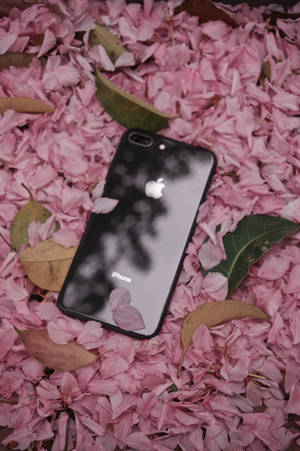 iPhone 8 Çiçekler