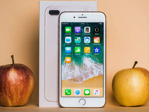 iPhone 8 Elmalı