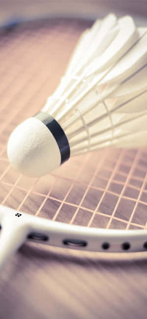 iPhone XS Max Badminton Arka Planı — POCO M Duvar Kağıdı