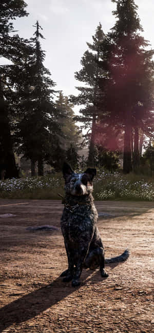 iPhone Xs Max Far Cry 5 Arka Planı — POCO F Duvar Kağıdı