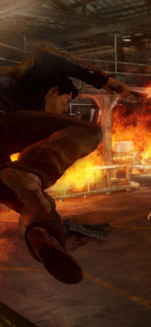 Iphone Xs Sleeping Dogs Arka Planı — Uyuyan köpekler Duvar Kağıdı