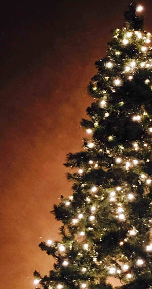Işıltılı çam Noel ağacı iPhone duvar kağıdı