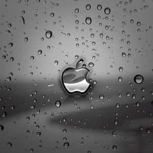Karanlık Sevimli iPad