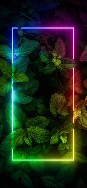 Kenarlıklı Bitkiler Neon Estetik iPhone — iPhone 16 Plus Duvar Kağıdı