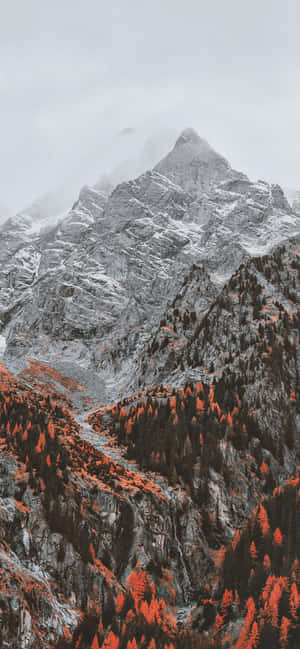 1170x2532 — 1170x2532 Duvar Kağıdı
