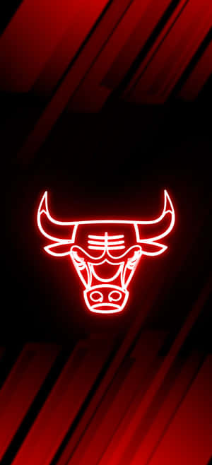 Chicago Bulls Telefon — Honor Magic8 Pro Duvar Kağıdı