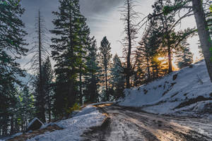 Önizleme duvar kağıdı kar, kış, ağaçlar, yol