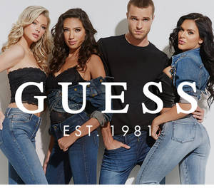 Kot Guess Tulum Kombinleri duvar kağıdı — Nötr Duvar Kağıdı