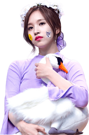 Kpop Yıldızı ve Peluş Kuğu