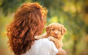 Küçük Altın Rengi Sevimli Köpek Yavrusu ve Kadın — Sevimli köpek yavrusu Duvar Kağıdı