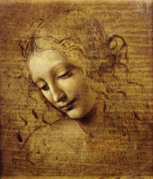 Leonardo Da Vinci Kadın Başı Tablosu duvar kağıdı — Galaxy Z Fold Duvar Kağıdı