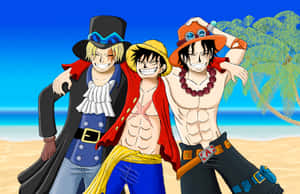 Luffy, Doflamingo'ya karşı harekete geçiyor — Luffy Duvar Kağıdı