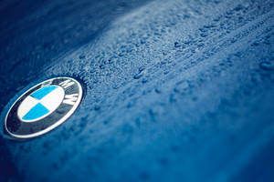 Damla bulunan mavi araba üzerinde BMW logosunun yakın çekim duvar kağıdı