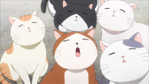 Anime Kedi resimleri — Sevimli Kedi Duvar Kağıdı